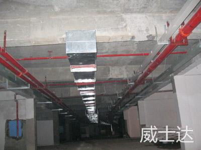 長沙青竹湖水印加州2